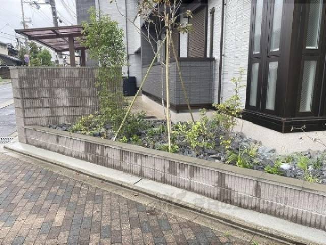 植栽