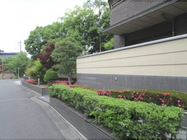 植栽
