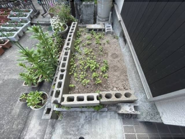 植栽