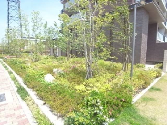 植栽