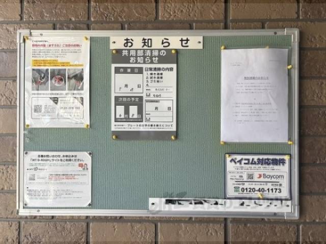 掲示板