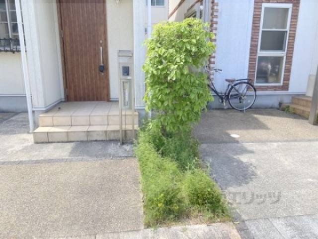 植栽