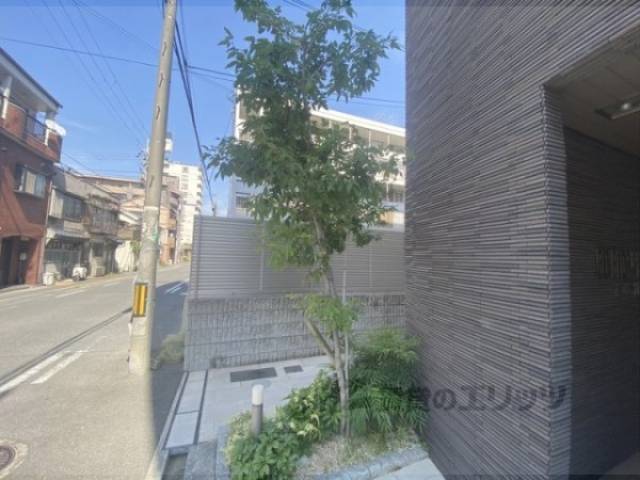植栽