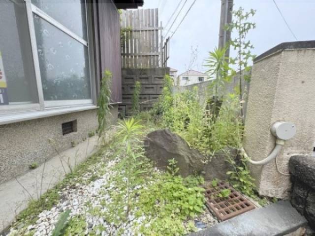 植栽