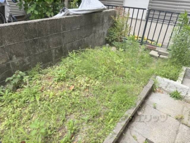 植栽