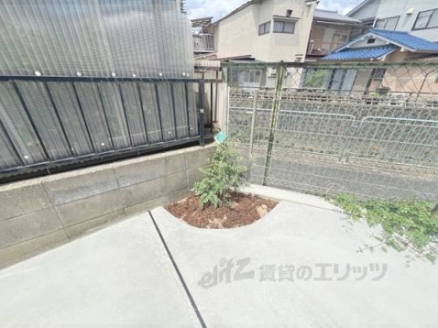 植栽