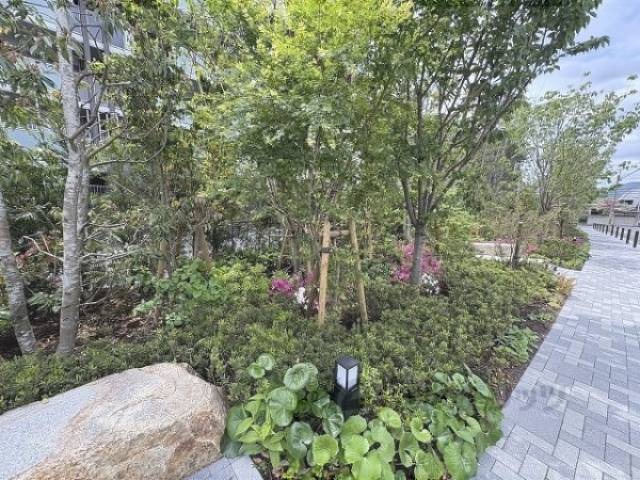 植栽