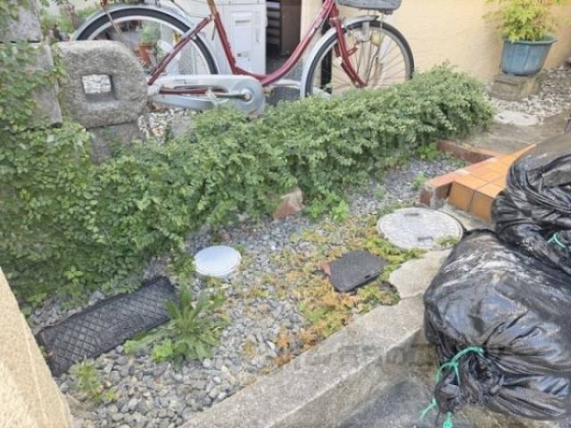 植栽