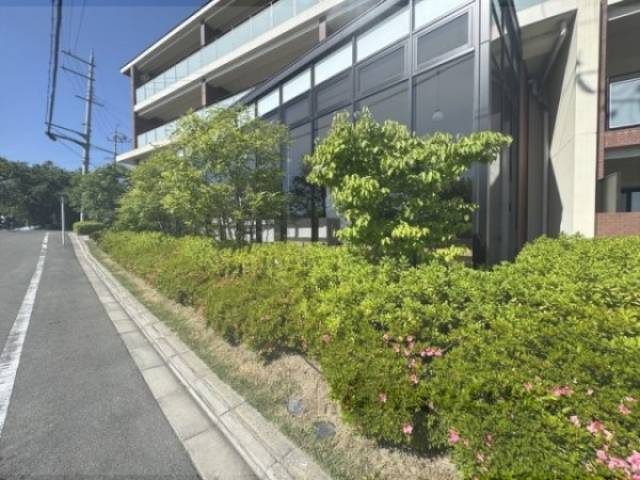 植栽