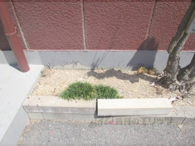 植栽