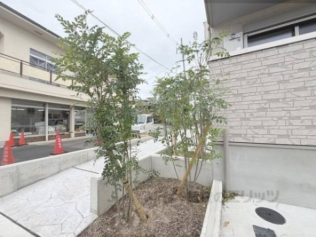 植栽