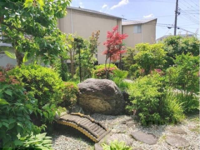 庭