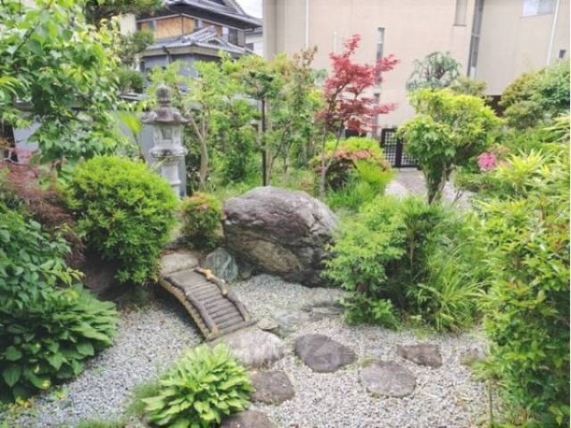庭