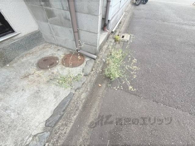 植栽