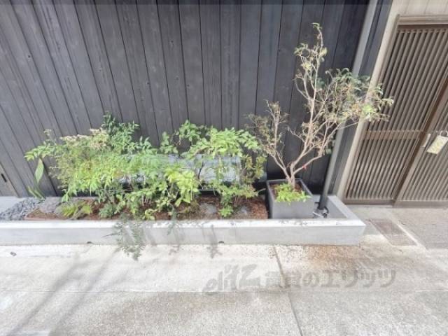 植栽