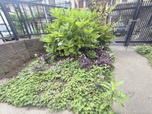 植栽