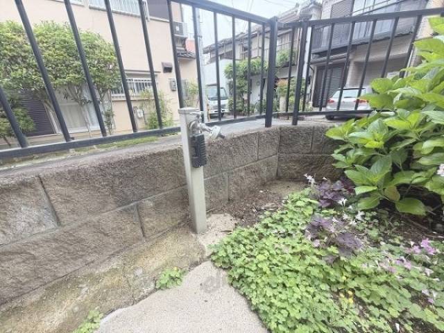蛇口