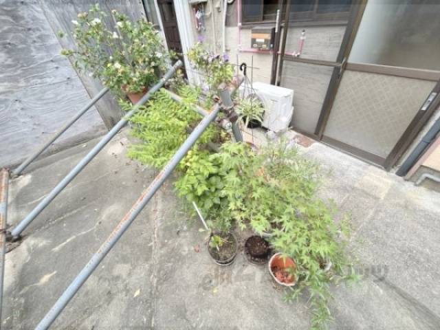 植栽