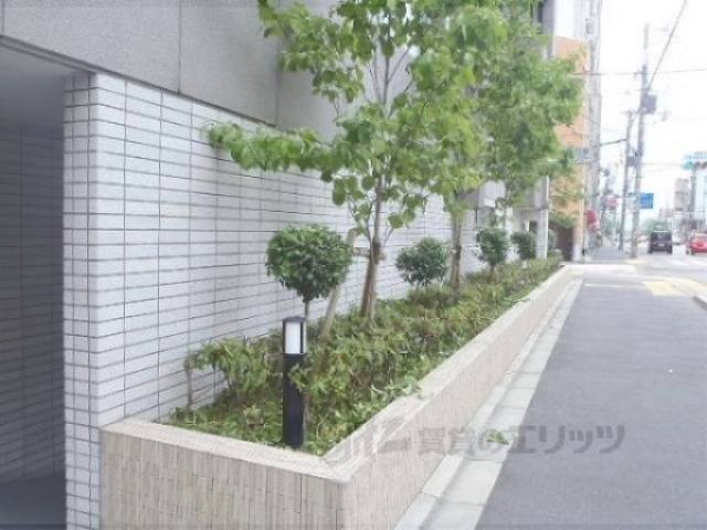 植栽