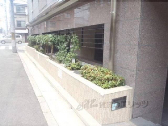 植栽