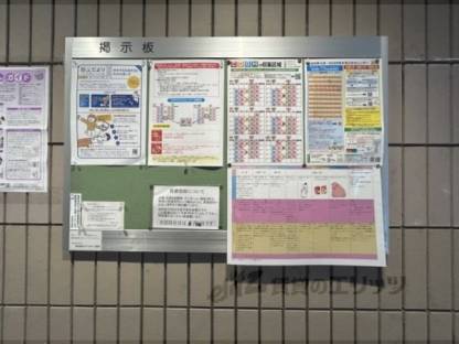 掲示板