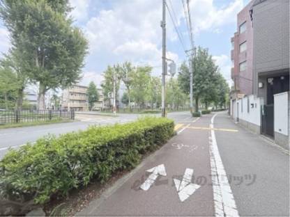 前面道路