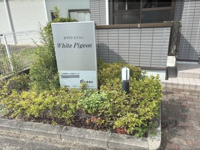 植栽