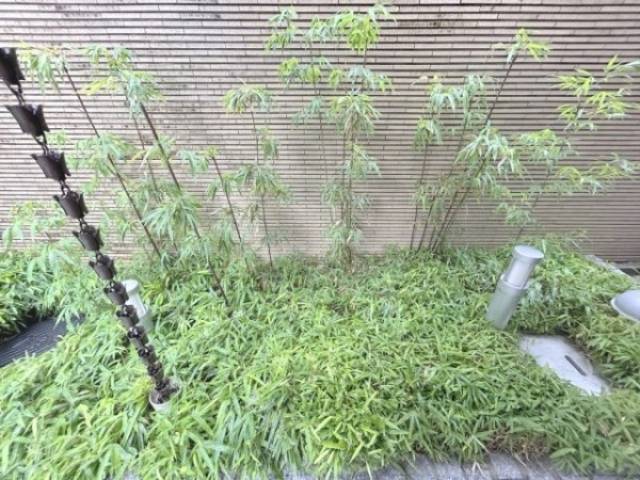植栽