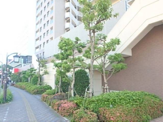 植栽