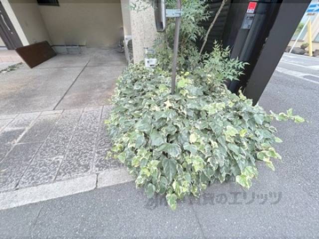 植栽