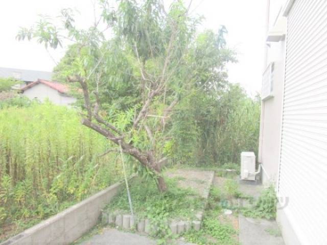 植栽