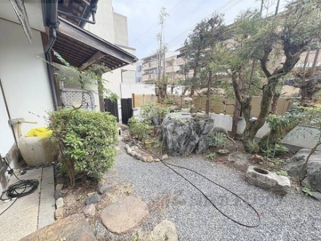 植栽