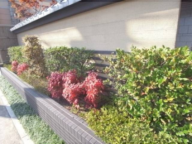 植栽