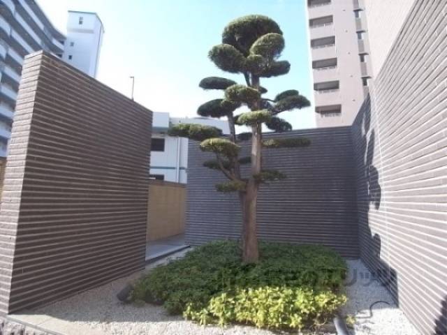 植栽