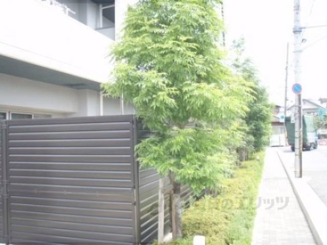 植栽