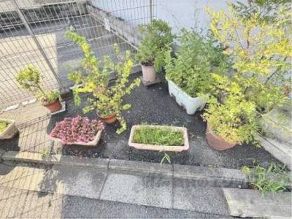 植栽
