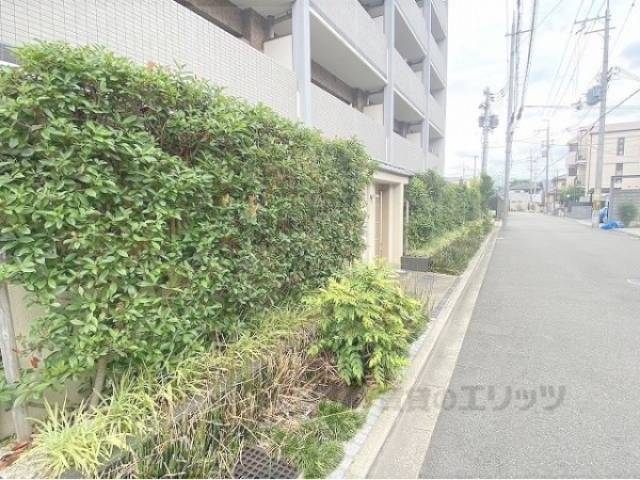植栽