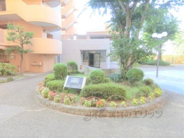 植栽