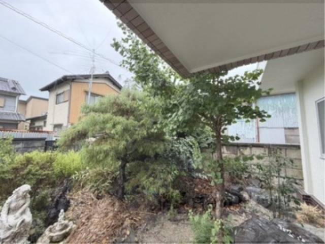 植栽