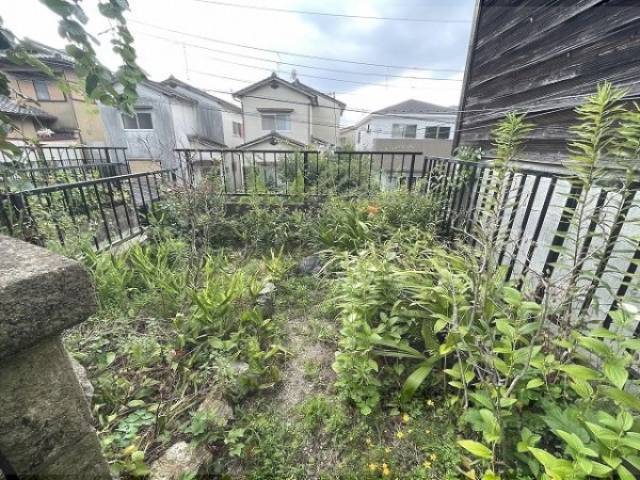 植栽