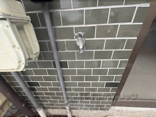 蛇口