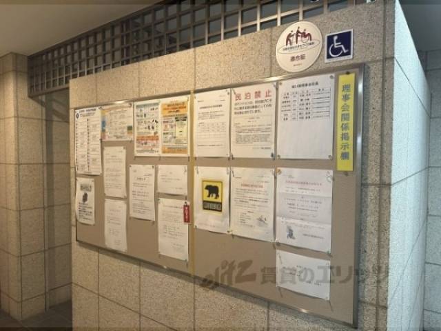 掲示板