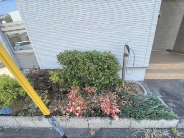 植栽