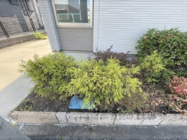 植栽