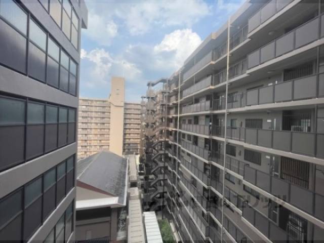 全体
