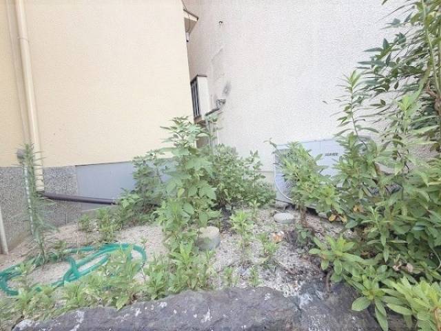 植栽