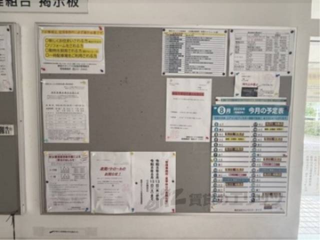 掲示板