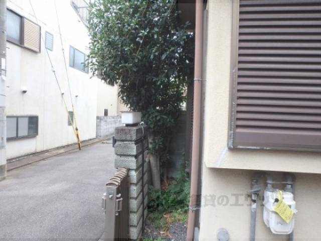 植栽