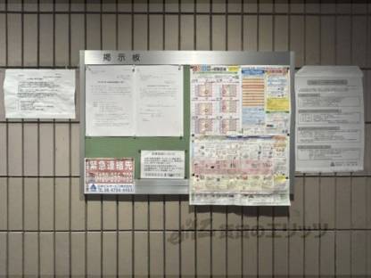 掲示板