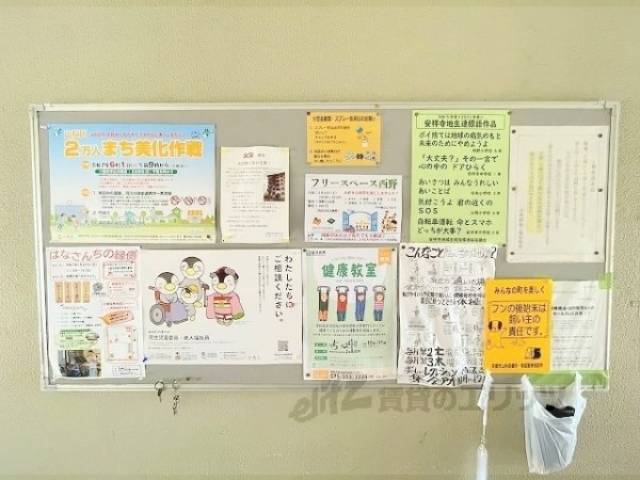 掲示板